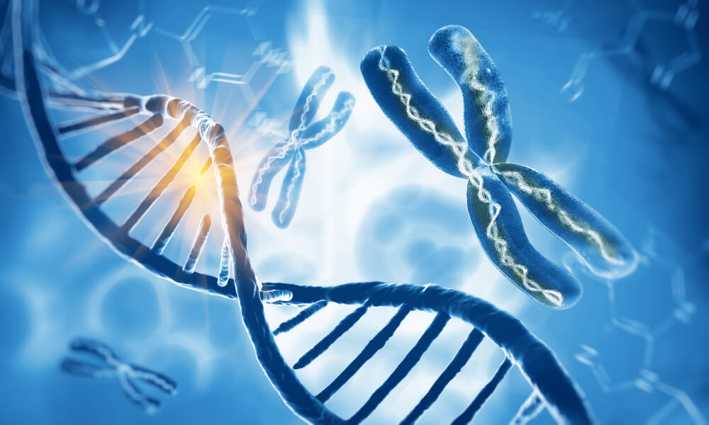 Digitaalinen esitys DNA:sta ja geeneistä.
