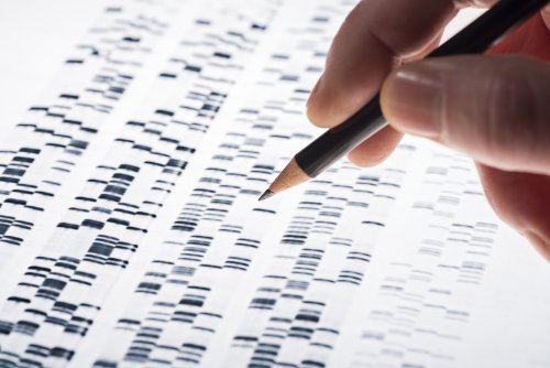 Test genético prenatal: características y ventajas.