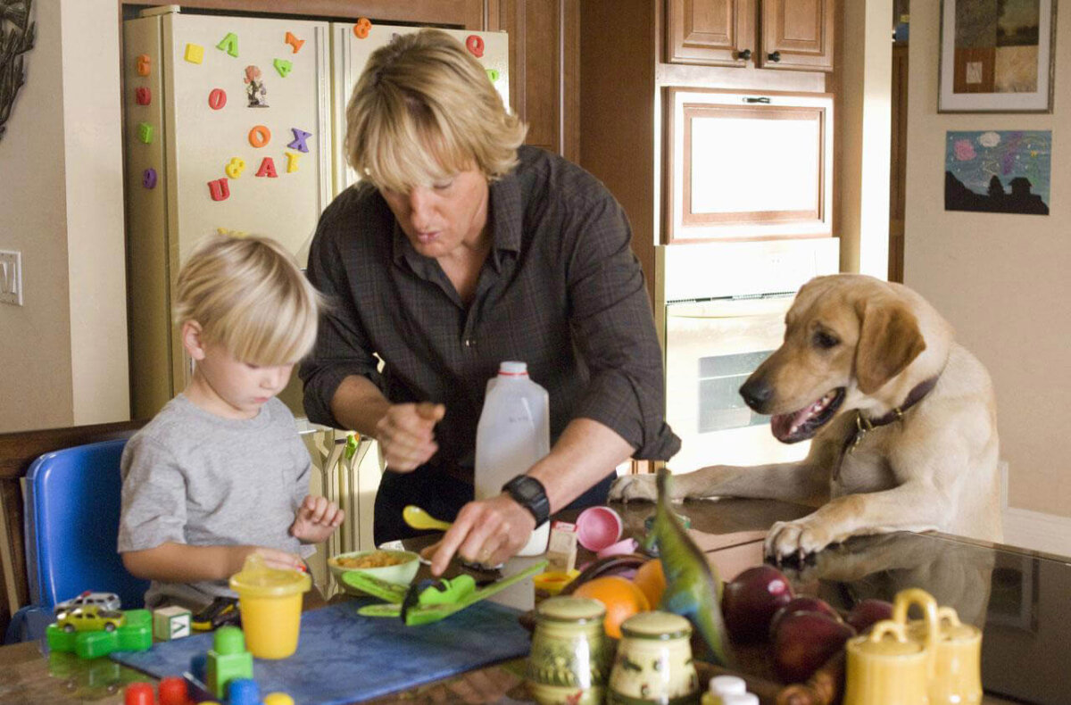 Películas que enseñan a los niños el amor por los animales.