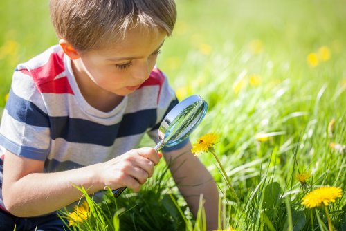 Niño con una lupa mirando flores en el campo aplicando el aprendizaje invisible.