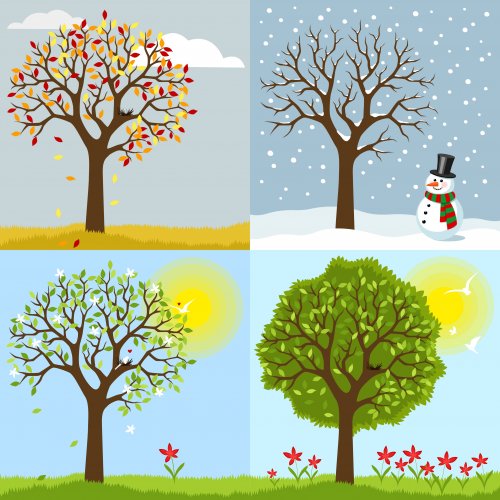 Libros infantiles sobre las estaciones del año.