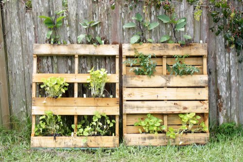 Ecología para niños: experimentos que enseñan a respetar el planeta.