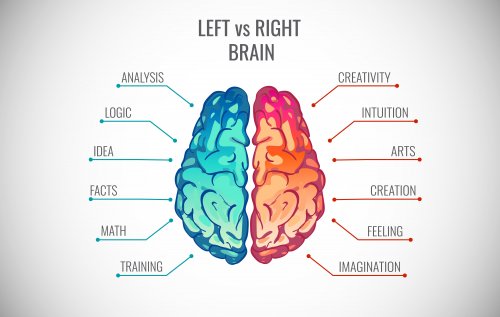 Expliquer le fonctionnement du cerveau aux enfants.