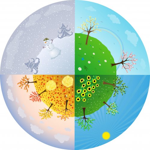 Libros infantiles sobre las estaciones del año.