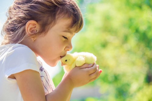 El fenómeno literario infantil: el pollo Pepe