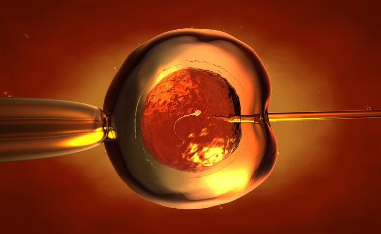 Aspectos legales de la fecundación in vitro