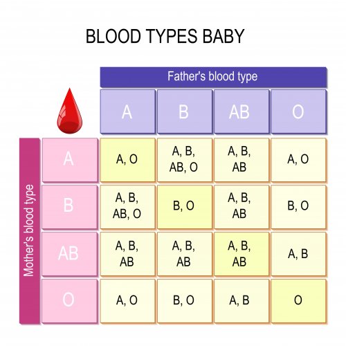Tabla con los tipos de sangre en bebés.