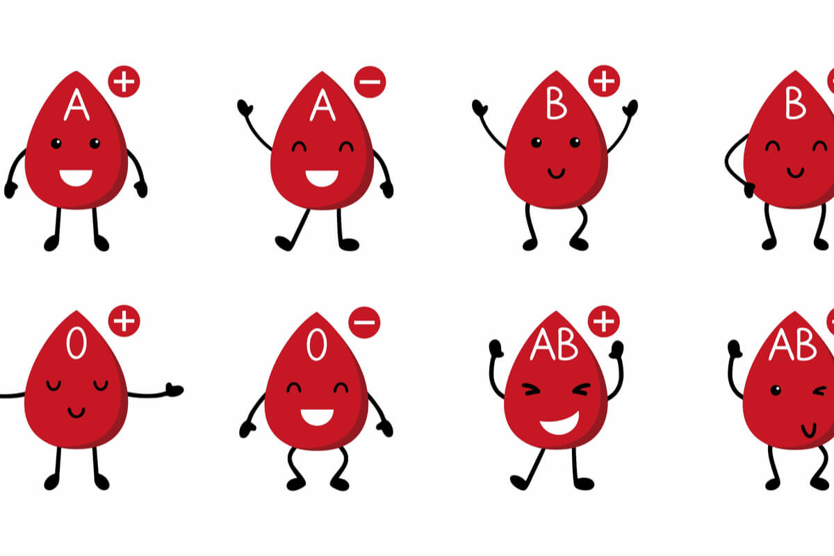 Puede un bebé tener un grupo sanguíneo distinto al de sus padres? Tabla de  herencia de grupos sanguíneos posibles y no posibles
