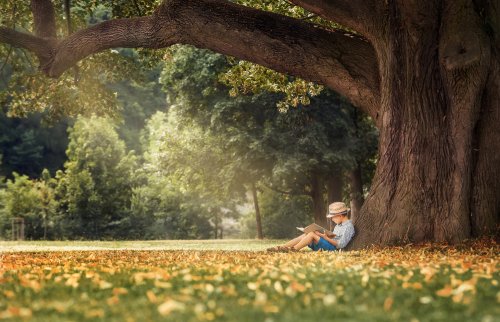 5 libros infantiles recomendados para niños de 7 a 9 años