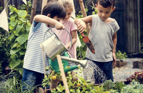 Niños regando un huerto.