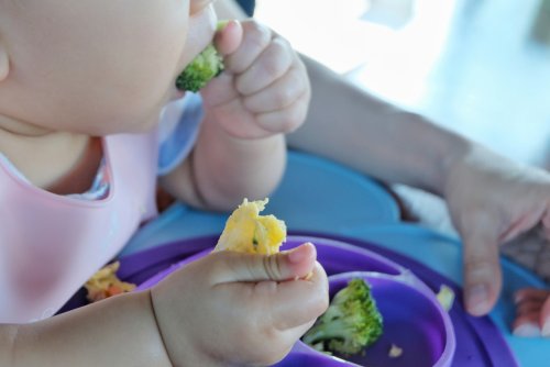 Bebé comiendo mediante la técnica del Baby Led Weaning.