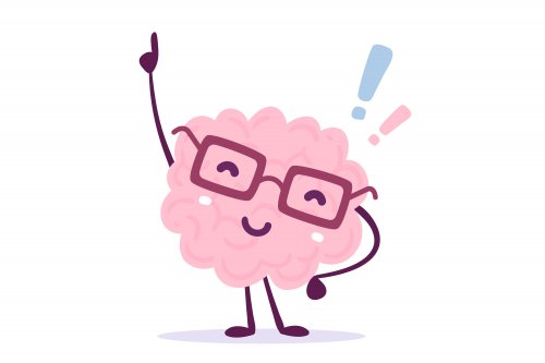 Cerebro en la teoría de la carga cognitiva.