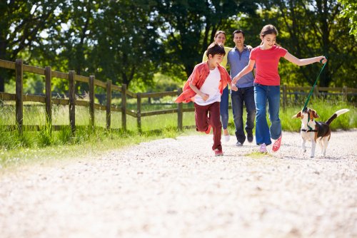 Familia reconstituida dando un paseo por el campo con el perro.