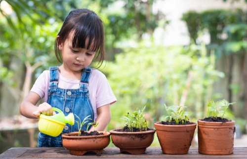 Niña regando flores en macetas.