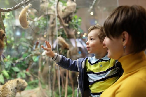 Niño con su madre visitando un museo para que recordar que estuvo presente.