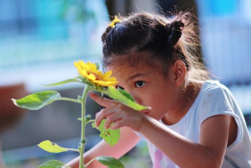 Niña mirando una flor y adquiriendo nuevos conocimientos.