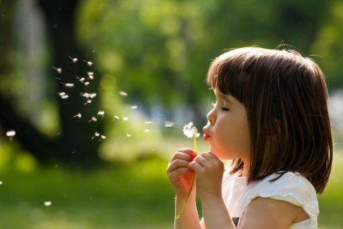 Niña soplando un diente de león en el parque.