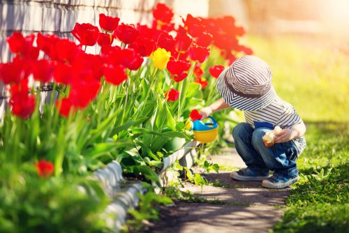 Descubre los jardines a través de la literatura infantil