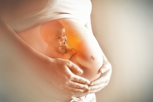 Bebé dentro del vientre materno en el líquido amniótico.