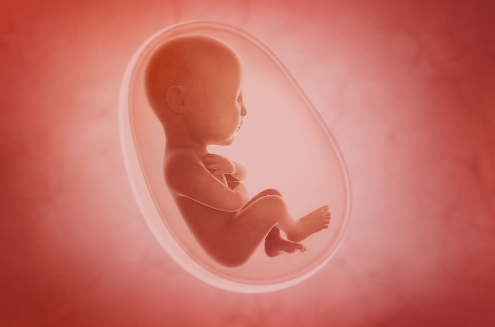 Fœtus dans le liquide amniotique.