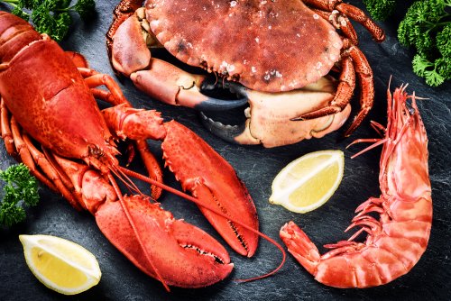 Les fruits de mer font partie des aliments sains de Noël.