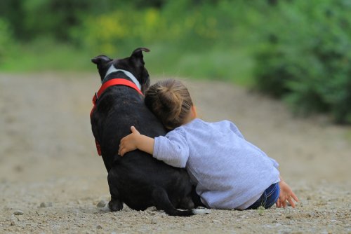 Niña abrazando a su mascota mientras dan un paseo por el campo.