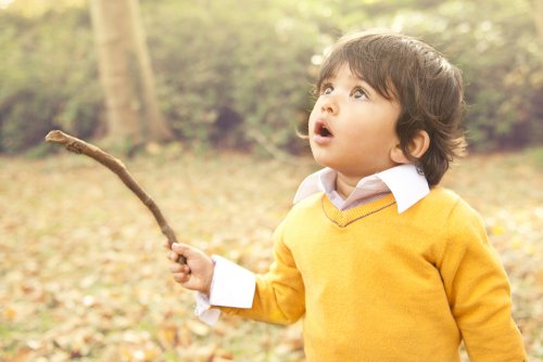 Niño en el campo con un malo de madera con cara de asombro.