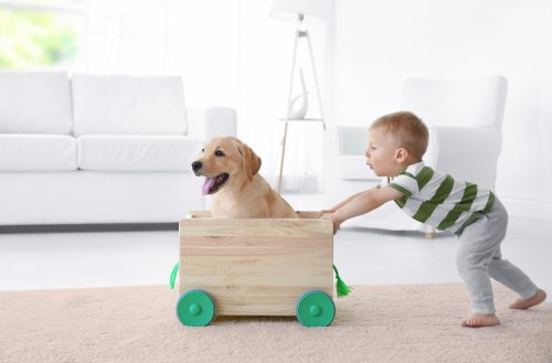 Niño jugando en casa con su perro.