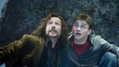 Sirius Black y Harry Potter pelando juntos.