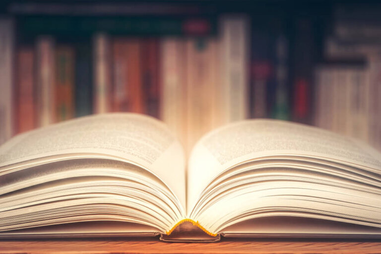 Los 4 pilares de la educación según la UNESCO