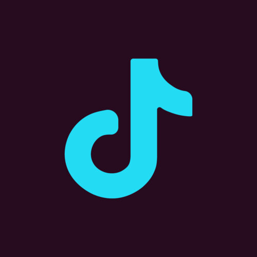 ¿Es TikTok la red social más de moda en la actualidad?