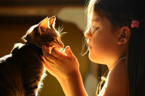 Niña con su gato.