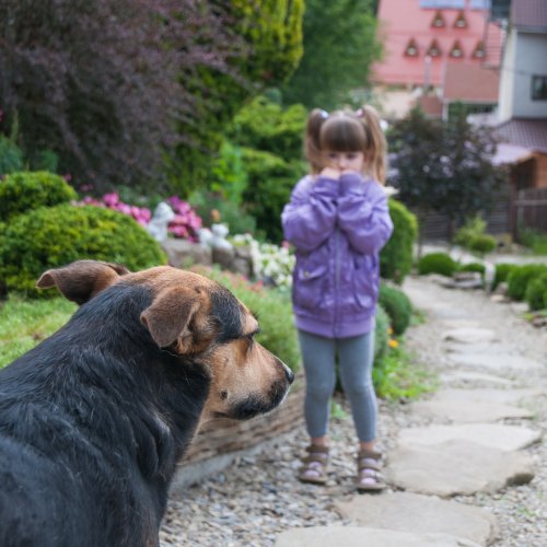 Niña con miedo a los perros enfrentándose poco a poco a uno gracias a la desensibilización sistemática.