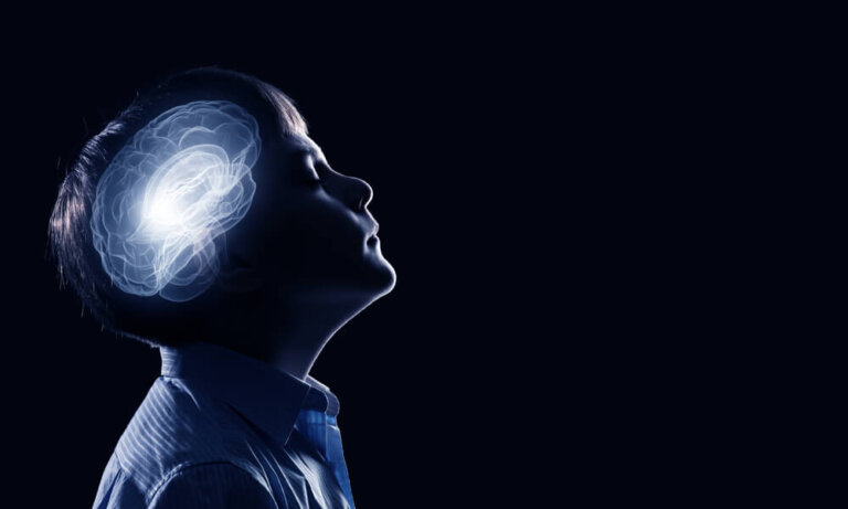 La poda sináptica en la infancia y la adolescencia