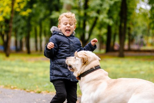 Niño asustado por un perro.