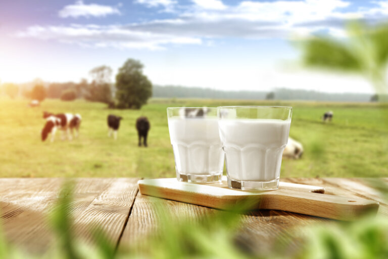¿Es antinatural tomar leche de otra especie?