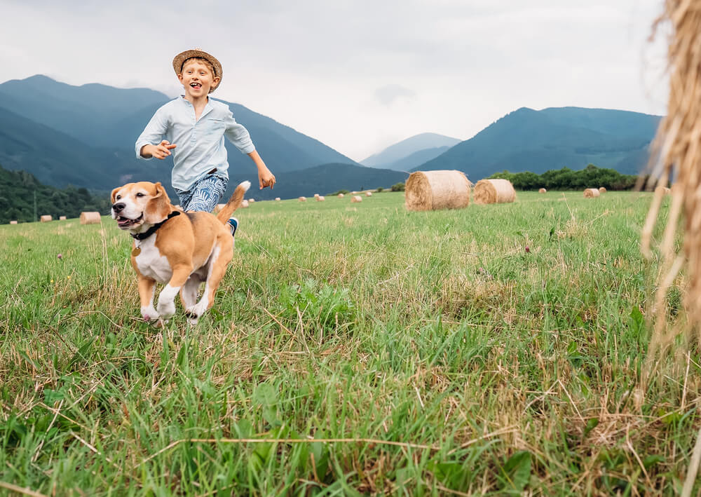 Niño corriendo con su perro por el campo del pueblo.