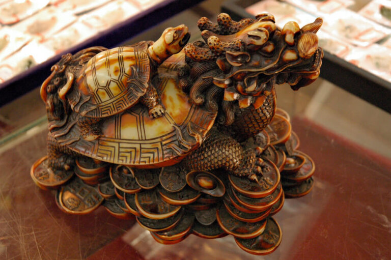 Juego de la tortuga y el dragón para trabajar la asertividad