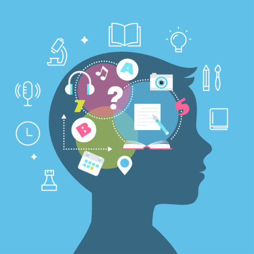 Cerebro y aprendizaje.