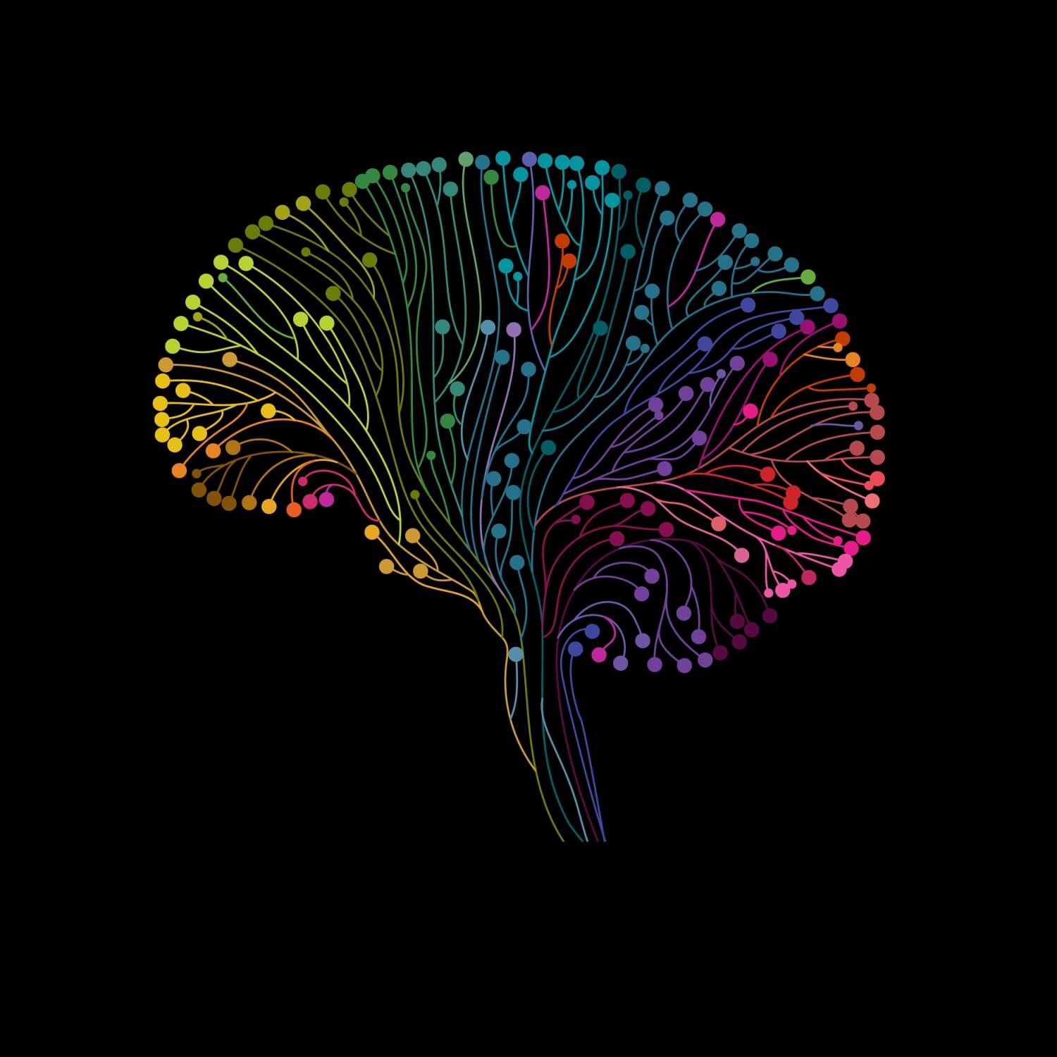 Schéma du cerveau avec des couleurs.
