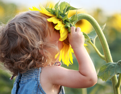 Niño con un girasol.