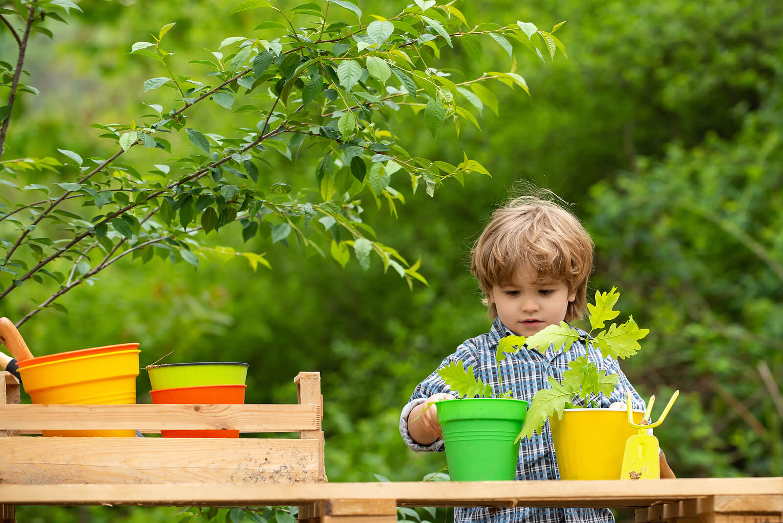 Un enfant qui soigne des plantes dans le jardin.