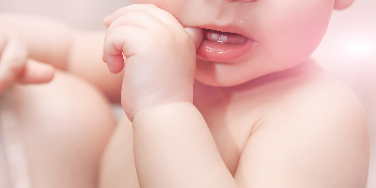La formación de los dientes del bebé