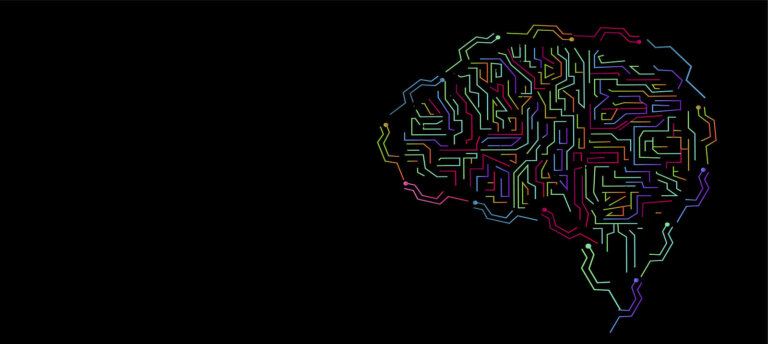 El concepto de inteligencia y su evolución