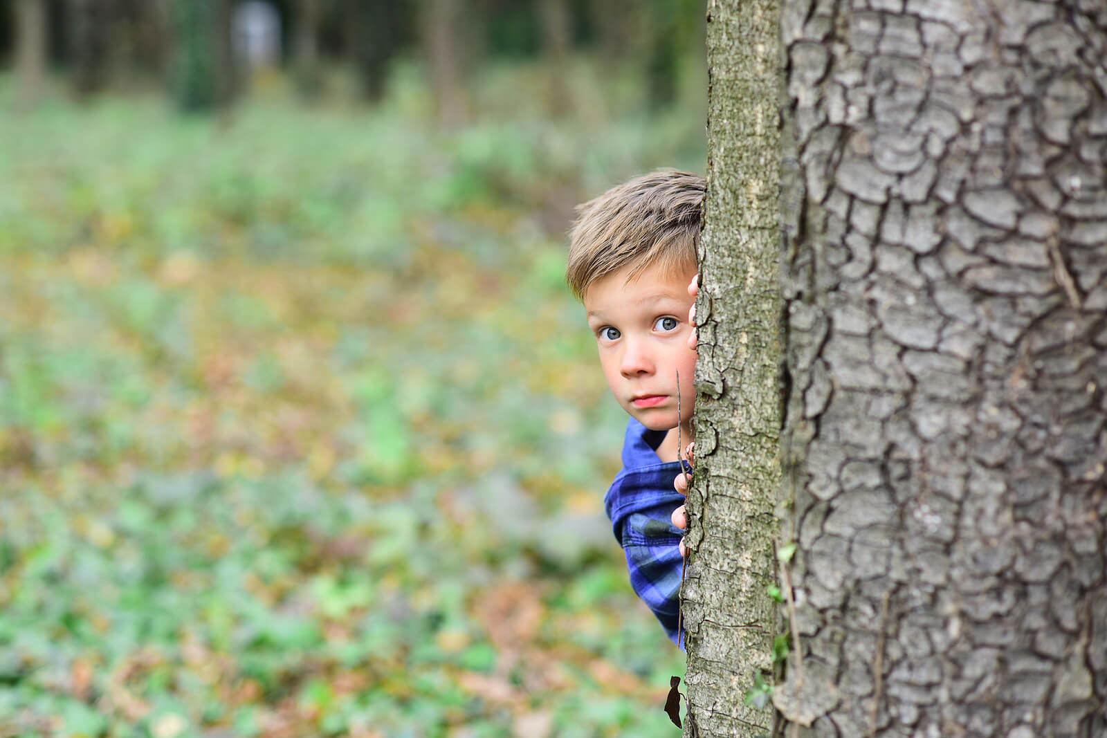 Niño escondido detrás de un árbol debido a sus miedos evolutivos.