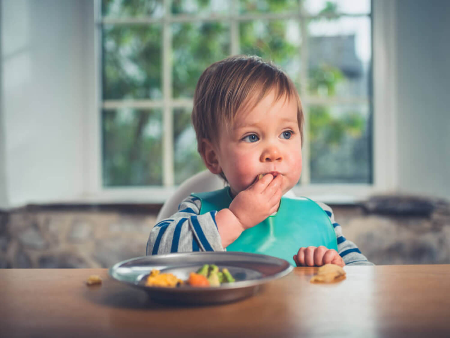 Bébé mangeant selon la technique du Baby Led Weaning.