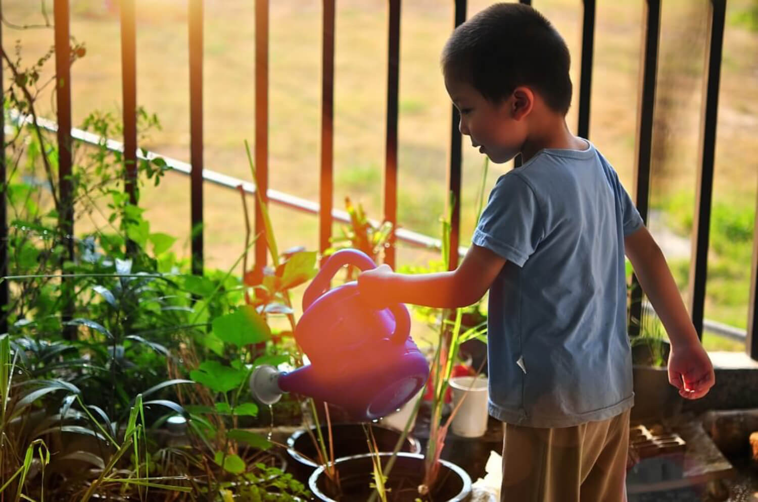 Une jeune garçon qui arrose des plantes;