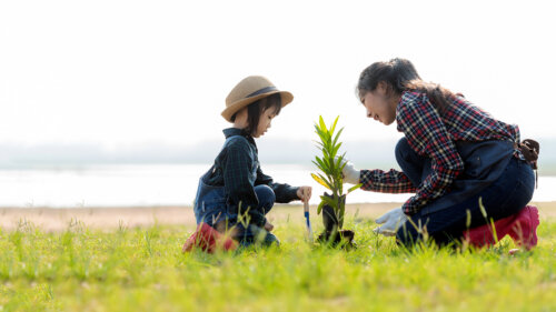 Madre e hija plantando un árbol.