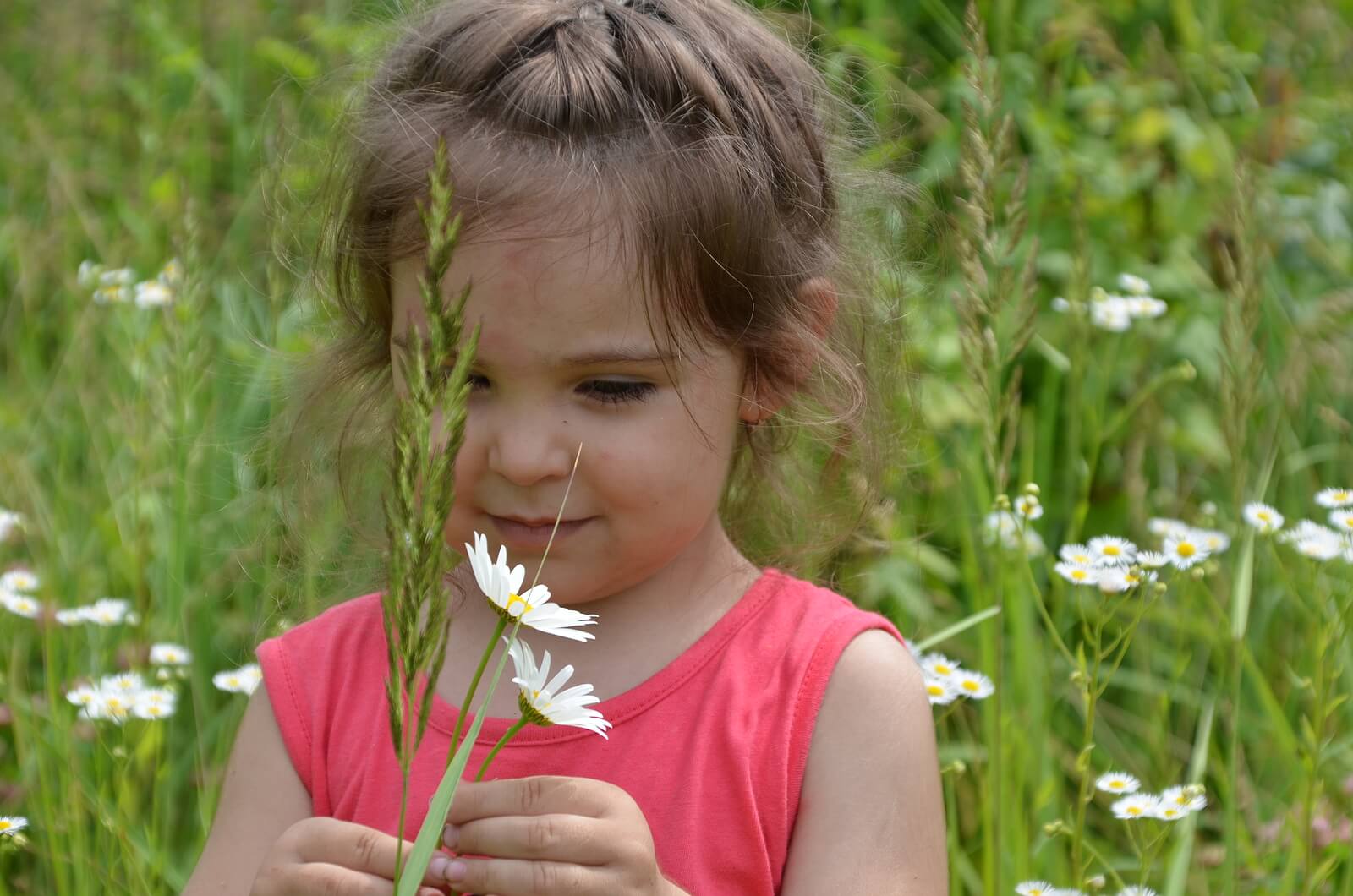 Niña oliendo flores en campo.