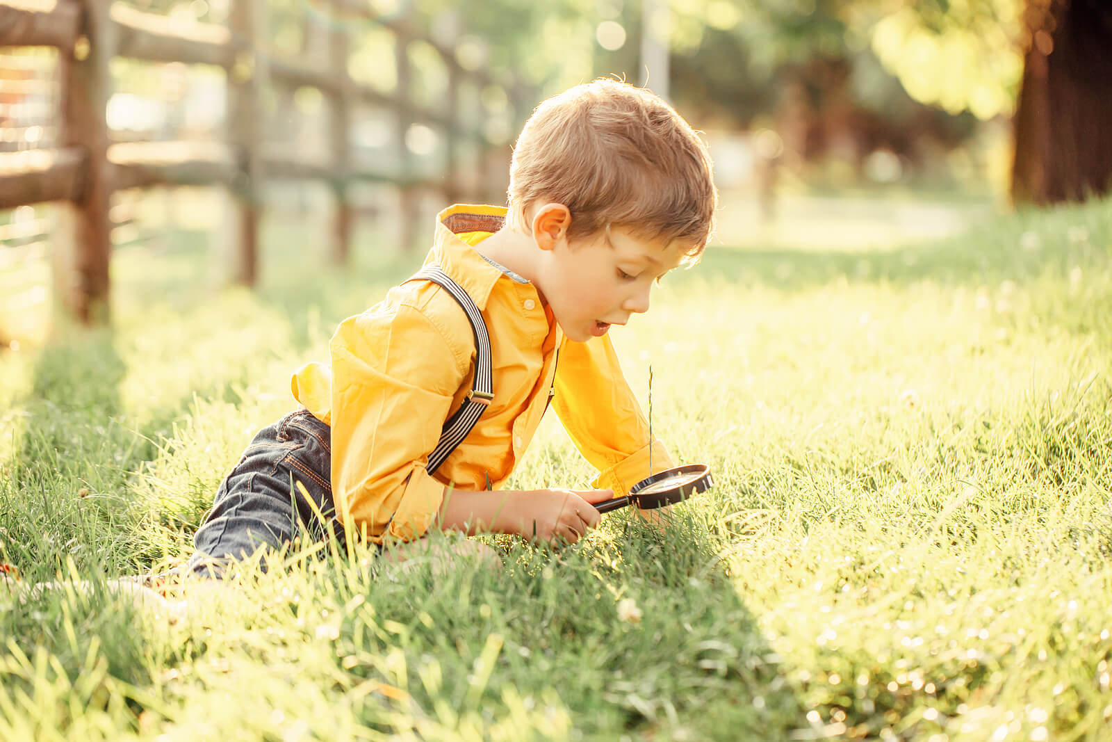 Un enfant qui regarde la nature avec une loupe.